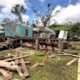 cyclone_yasa_aftermath_widespread_destruction